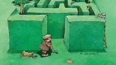 The Maze par Gary Patterson